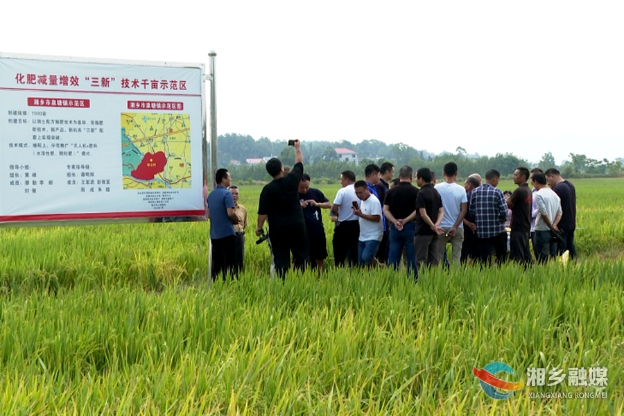 湘乡：推广“三新”配套种稻 化肥减量增效