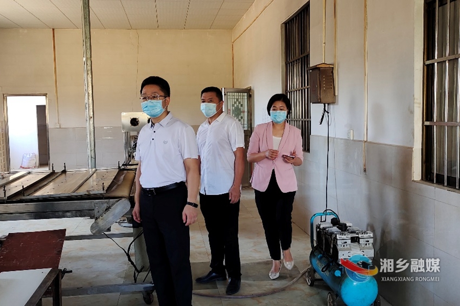 谢岸烨到乡镇督查信访维稳、安全生产等工作