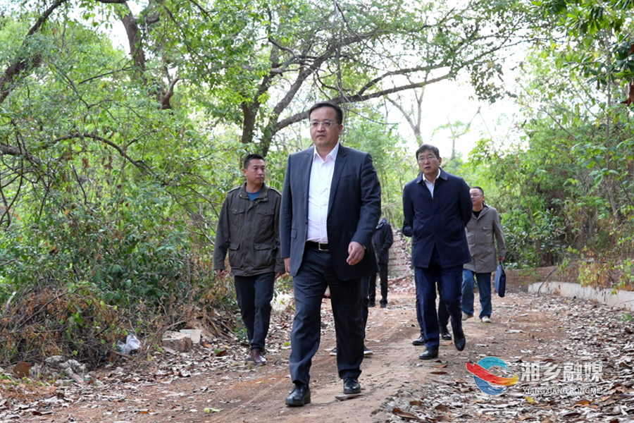 郭勇：抢时间 抓进度 全力推进湘乡健康产业园项目建设