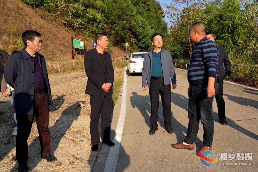 谢岸烨到乡镇调研茶产业发展情况