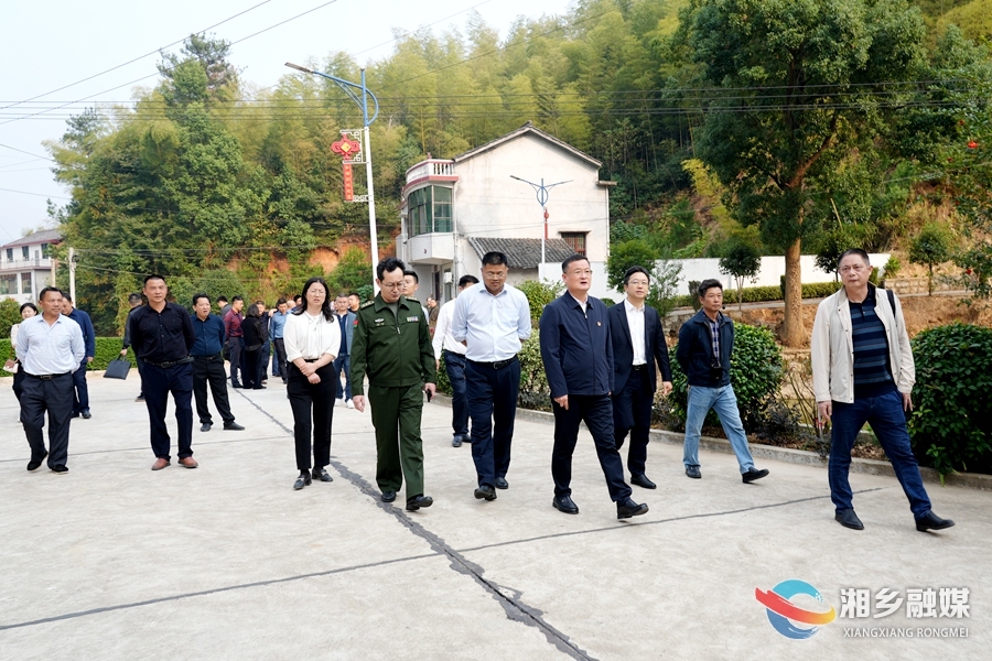 赵新文：坚定信心决心 凝聚强大合力 全力推进农村人居环境工作