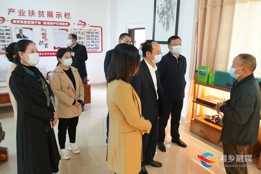 刘俊来湘乡参加人大代表小组活动