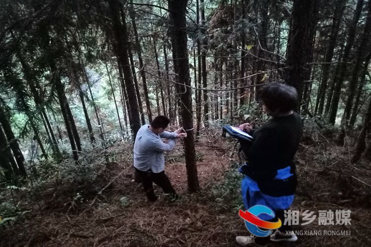 [林业局]森林质量精准提升 绘制四季靓丽风景
