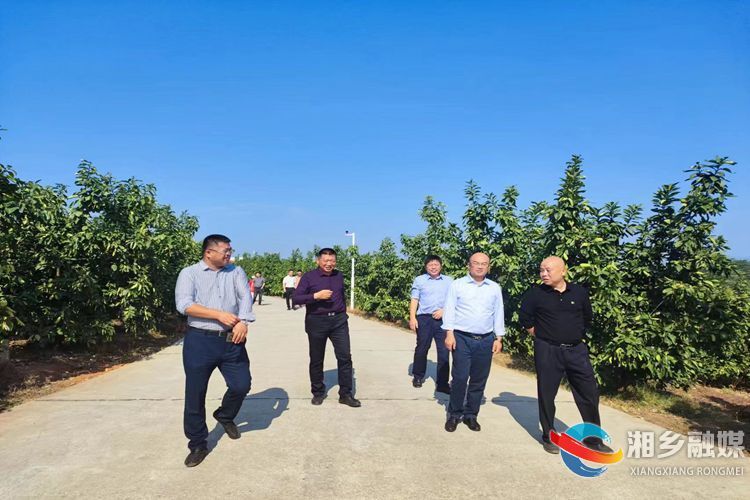 [中沙镇]代表外出取真经 增强本领促发展