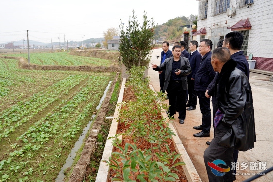 赵新文：做到“五提” 确保如期如质完成泉湖片区项目建设
