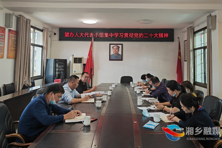 [望春门街道]人大代表小组集中学习贯彻党的二十大精神