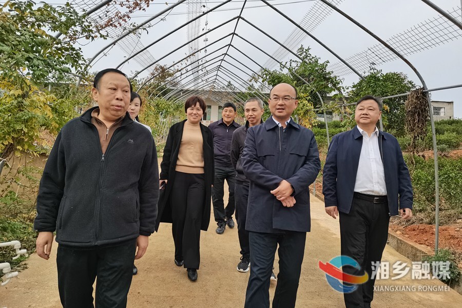 省工商联来湘乡调研“万企兴万村”行动推进情况