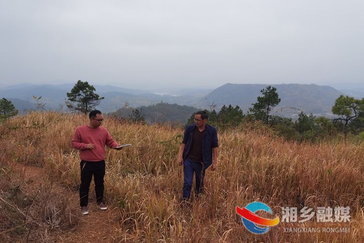 [林业局]造林抚育双管齐下 扎实推进林业生态建设
