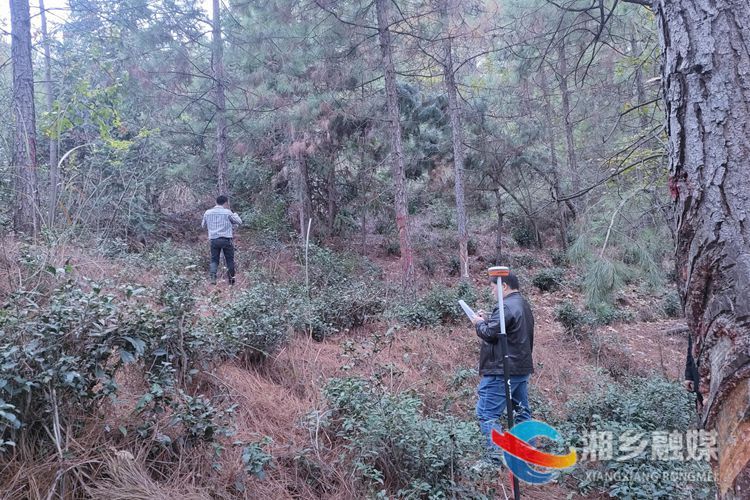 [林业局]加强动态监测 助力实现碳达峰碳中和目标