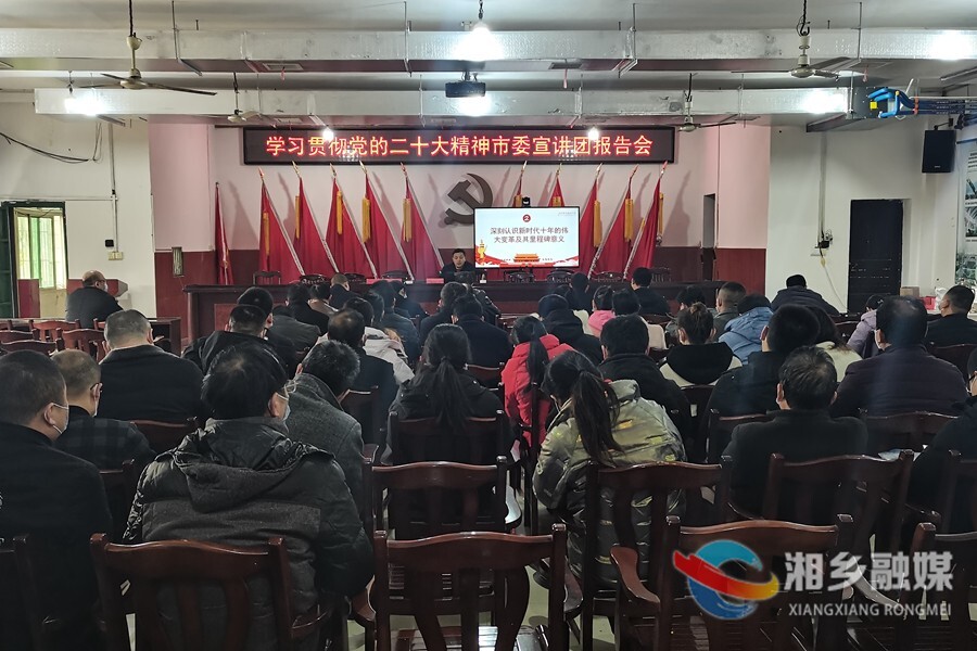 李文亮到梅桥镇宣讲党的二十大精神