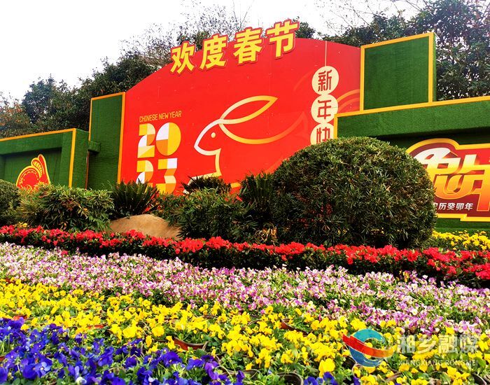 湘乡：花卉灯笼添年味 红红火火迎新春