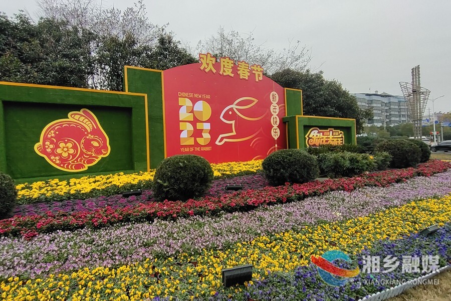 【龙城年味】花卉灯笼齐扮靓 红红火火迎新春
