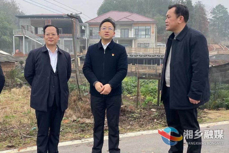 谢岸烨调研泉湖示范片区乡村振兴等工作