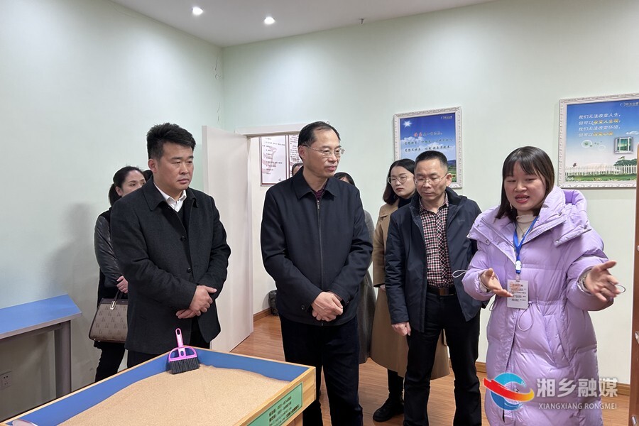 省技术评估组来湘乡开展创建省级健康县（区）技术评估工作