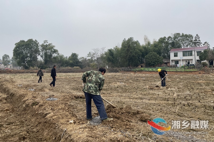 【奋进的春天】湘乡：工厂化育秧 省心又增收