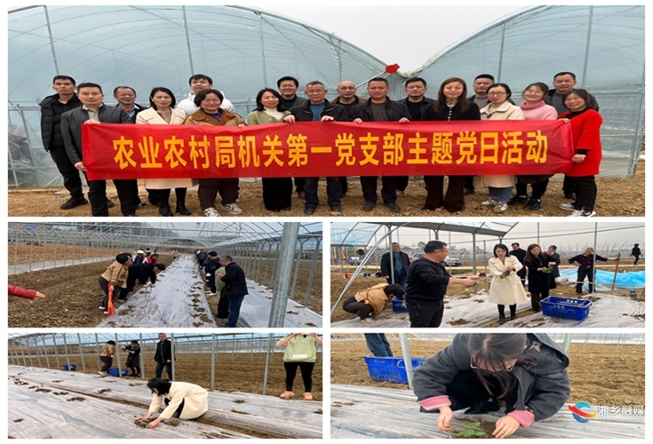 [农业农村局]主题党日进基地 党员干部齐劳动