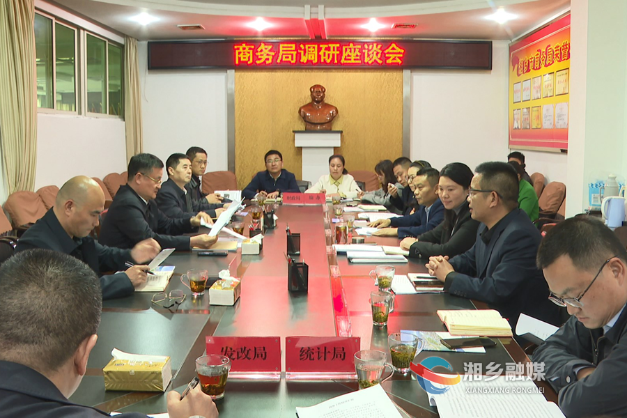 赵新文在调研市商务局时指出：实施好五大工程 服务湘乡经济社会高质量发展