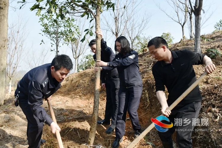 湘乡：和煦三月天 植树添绿忙