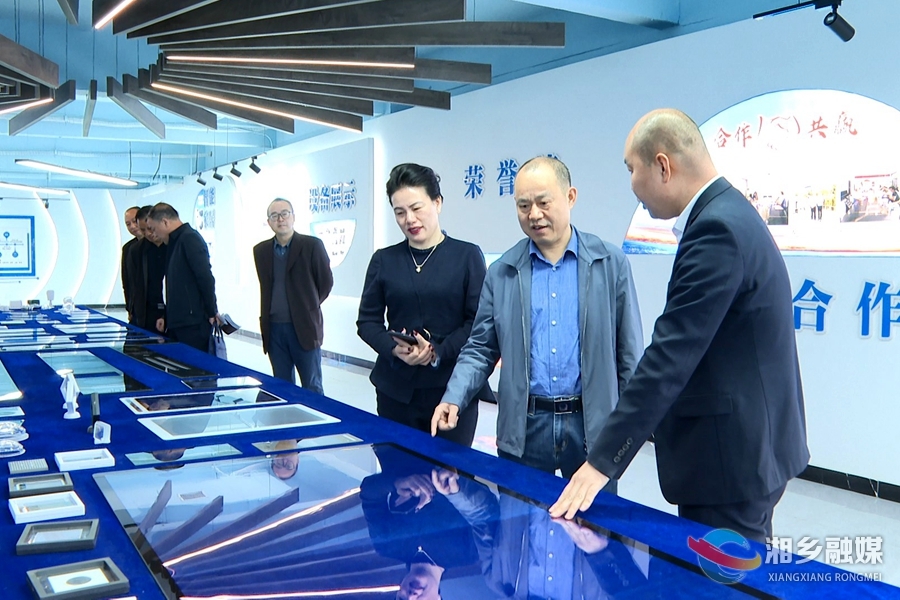 湘潭市政协调研组来湘乡调研企业发展情况