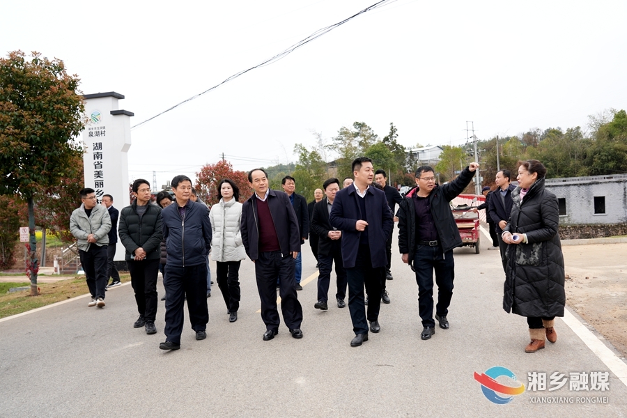 覃佐彦来湘乡调研泉湖片区规划编制与实施情况