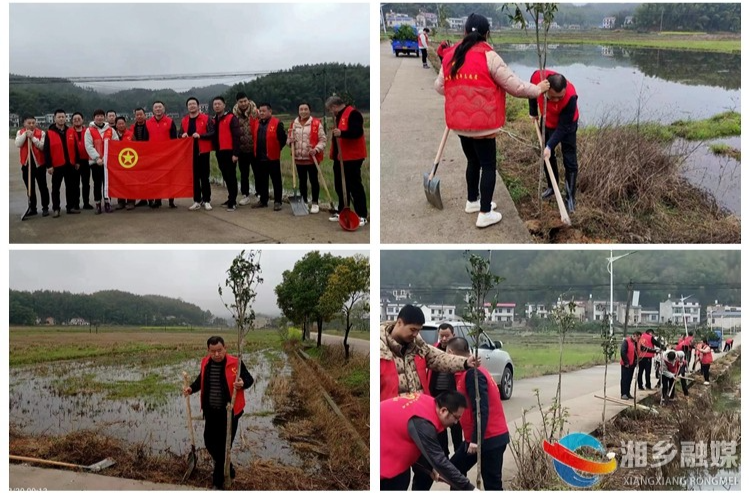 [山枣镇]“志愿红”植此“青绿”