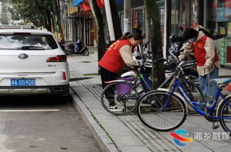 [白田镇]党员志愿者开展环境卫生整治行动