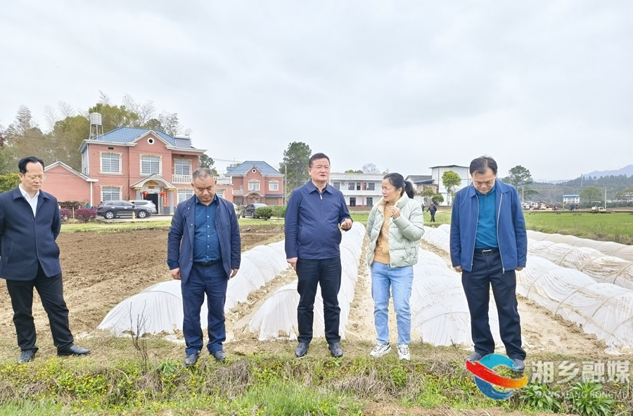 赵新文巡林、巡河并督导春耕备耕等工作