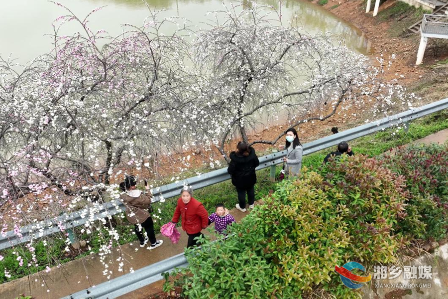 “羊”帆启航 “桃”醉花海 翻江镇乡村文化旅游节邀您共赴“春天之约”