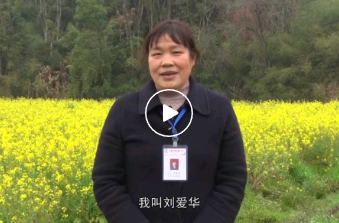 不忘初心绽芳华 | 刘爱华：金薮村的女当家