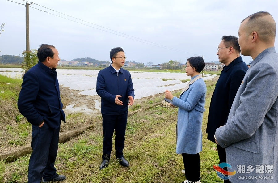 【奋进的春天】护航春耕备耕！湘乡开展粮食生产工作专项督查