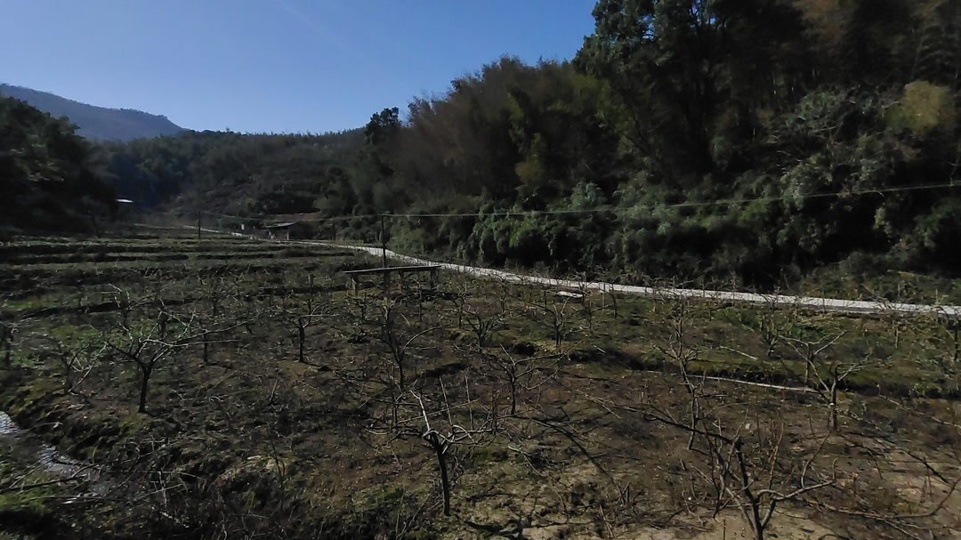 【湘恋英才 携手乡依】陈志红：田园“逐梦”的新农人