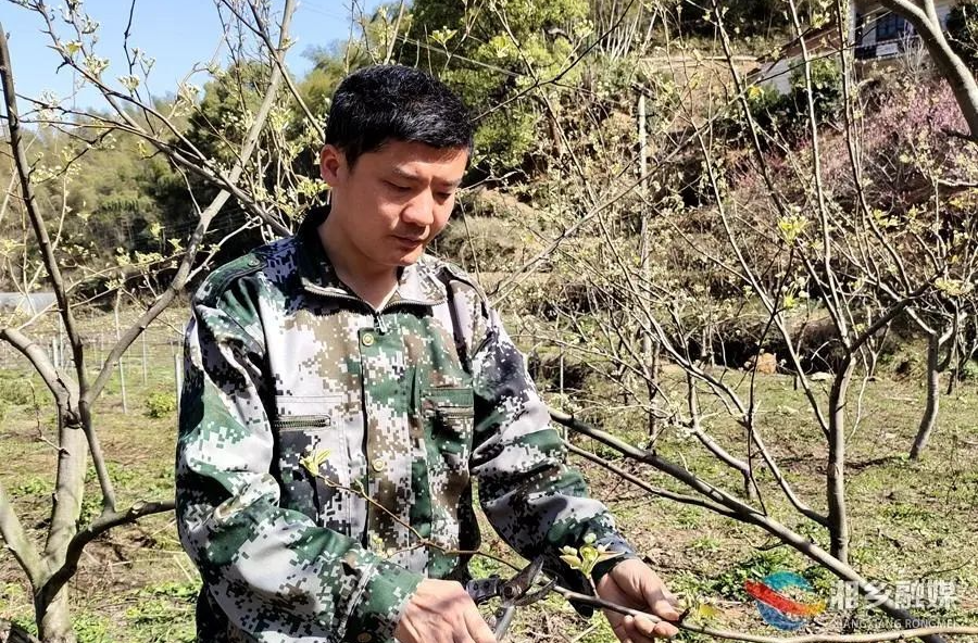 湘乡80后小伙田园“逐梦” 带动乡亲增收致富