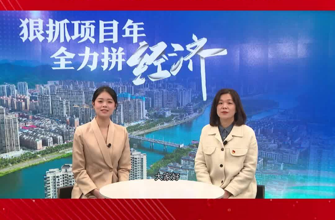 “狠抓项目年 全力拼经济”专题访谈——湖南电器检测所项目