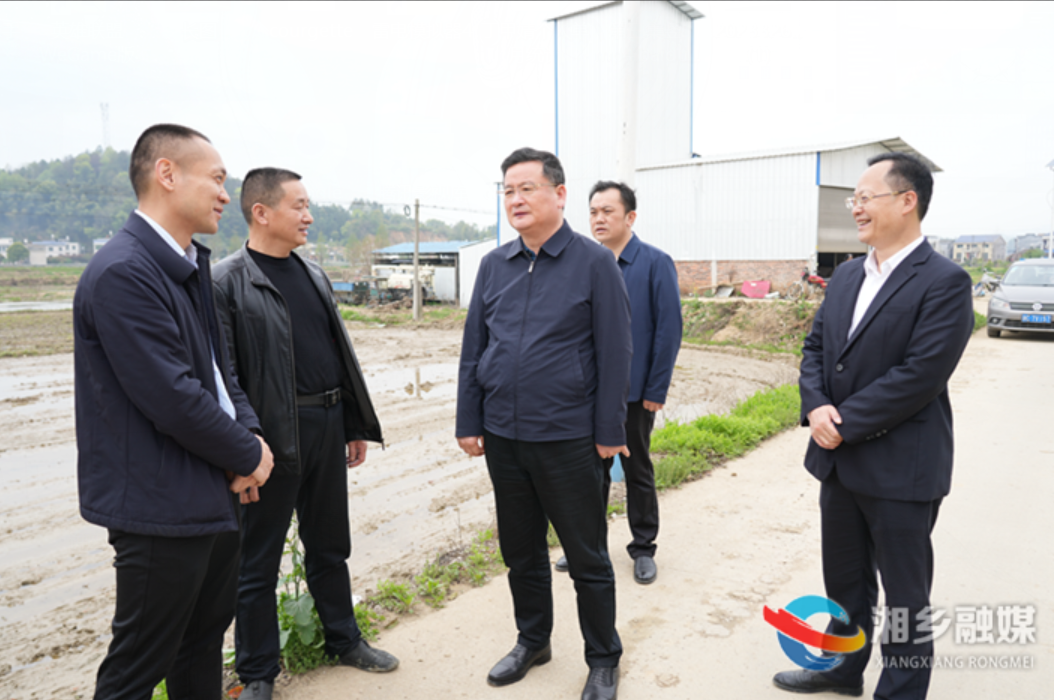 赵新文督导春耕生产、耕地复耕工作并巡田