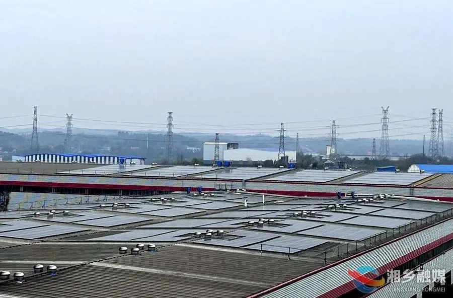 加快转型脚步，巨强科技产业“降碳” 发展“增绿”