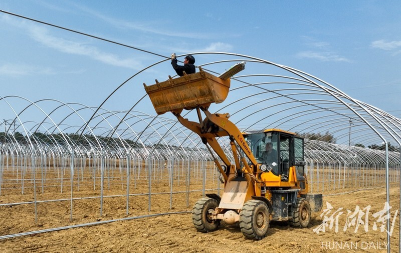 Build greenhouses to help farmers increase income