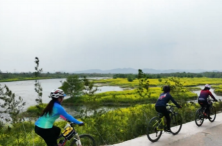 来涟水河畔看花海吧，和春天的浪漫撞个满怀~