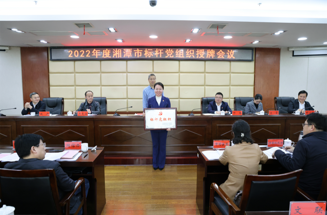 祝贺！湘乡新增7家省市县三级标杆党组织 已修改