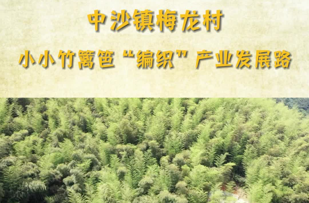 中沙镇梅龙村 小小竹篱笆“编织”产业发展路