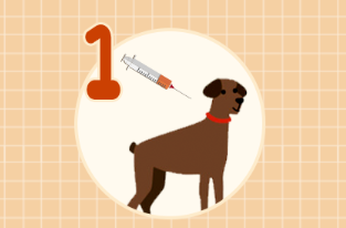 进入高发期！8岁孩子不幸身亡，医生紧急提醒：第一时间这样处理