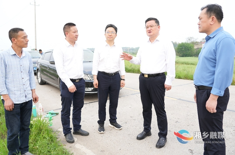 赵新文督导粮食生产工作：坚决完成早稻生产目标任务