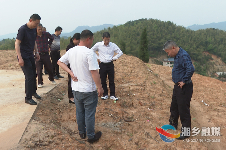 省茶叶研究所来湘乡调研指导茶产业工作