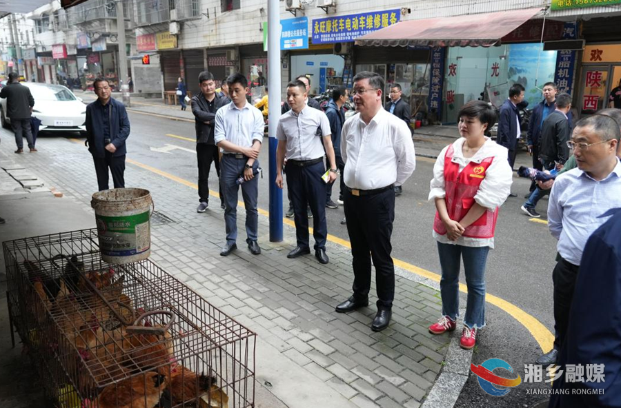 赵新文督导全市创文创卫工作：坚持问题导向 下足“绣花功夫” 不断提升城市管理水平