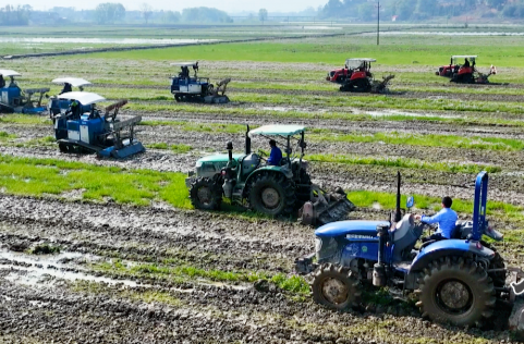 海报 | 湘乡“春耕”美如画 不负春光种希望