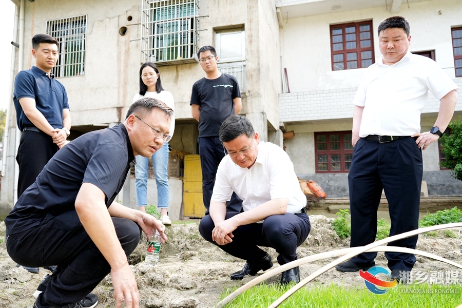 赵新文督导粮食生产工作时强调：不误农时 全力保障早稻种植面积