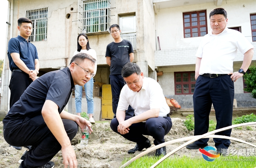 赵新文督导粮食生产工作时强调：不误农时 全力保障早稻种植面积