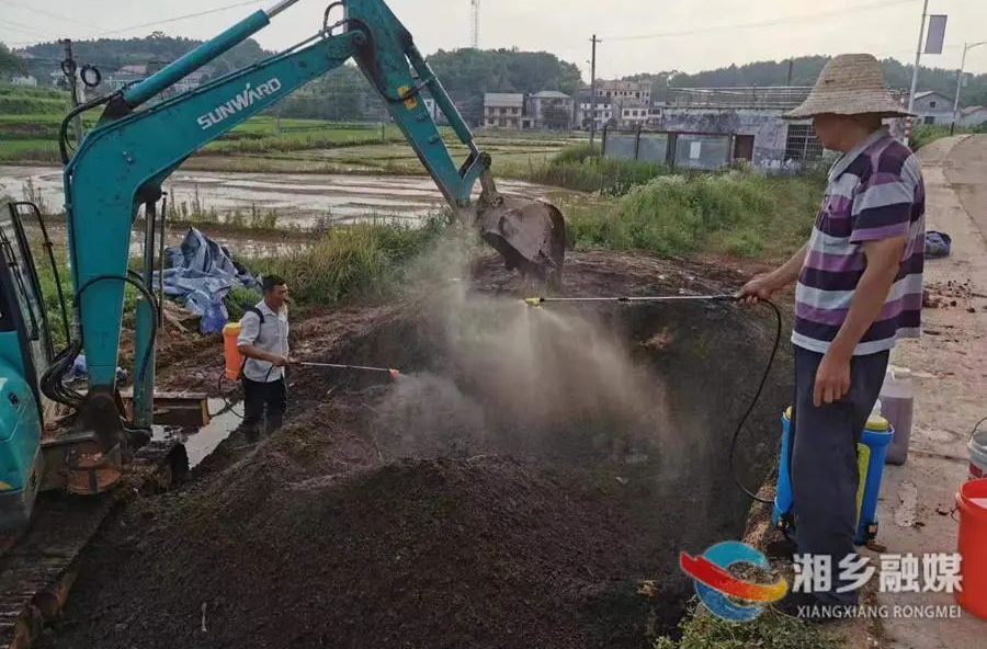 湘乡这个村用有机肥替代化肥，让农田“减肥”又增效！