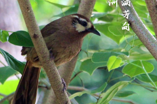 今日谷雨丨雨生百谷，万物逢时