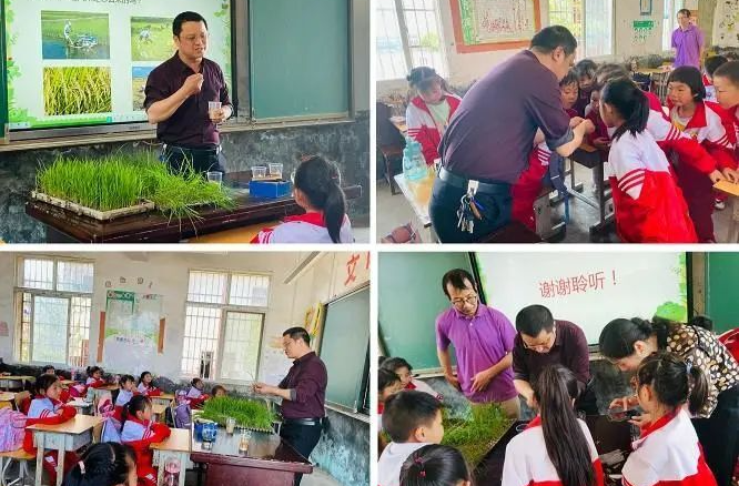 悟劳动之美！湘乡西北小学“农耕文化”进课堂