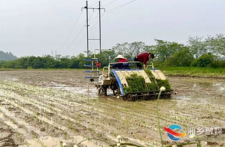 农机上阵，湘乡的田间地头就是他们的战场